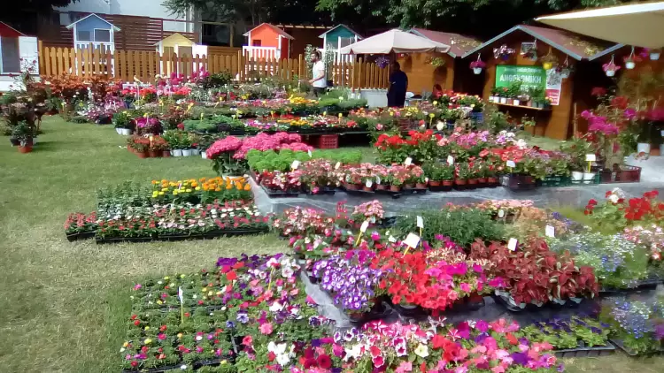 Η Ανθοκομική Έκθεση Κατερίνης στον Καπνικό Σταθμό