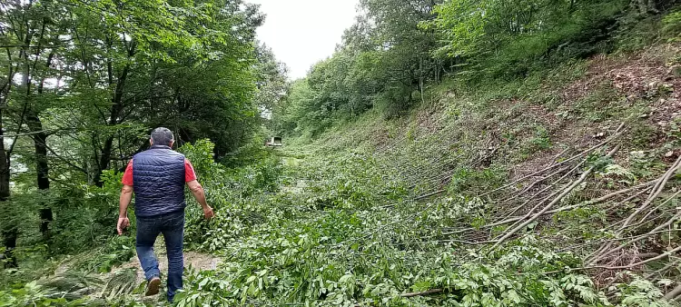 Διεύθυνση Δασών Πιερίας: Antinero ΙΙΙ – Βασικό εργαλείο για την πρόληψη και την προστασία των δασών