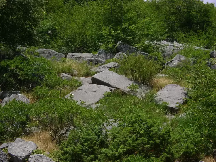 Επιτακτική ανάγκη η διάσωση & ανάδειξη του Αρχαίου Λατομείου Μαρμάρου στα Πιέρια