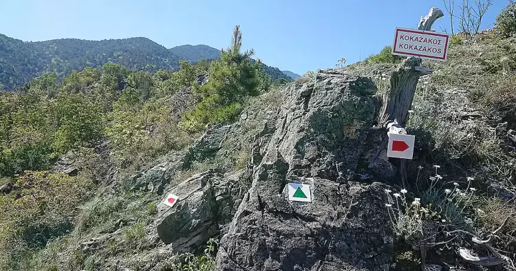 Φυσιολατρικός Σύλλογος Λιτοχώρου «Όλυμπος» - Πρόγραμμα Δραστηριοτήτων Ιουνίου 2024 Φυσιολατρικός Σύλλογος Λιτοχώρου «Όλυμπος» – Πρόγραμμα Δραστηριοτήτων Ιουνίου 2024