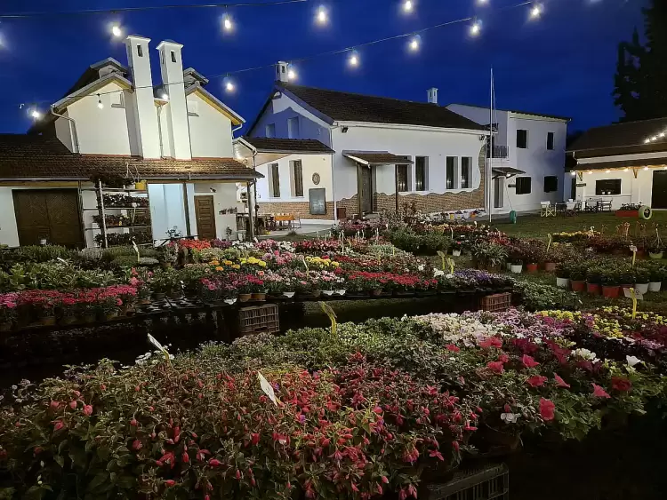 Καπνικός Σταθμός Κατερίνης: Τελευταία μέρα της ανθοκομικής έκθεσης σήμερα Καπνικός Σταθμός Κατερίνης: Τελευταία μέρα της ανθοκομικής έκθεσης σήμερα