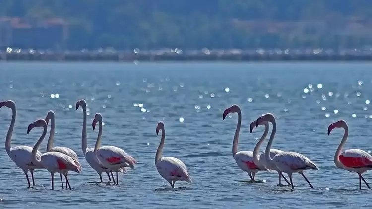 Κλιματική Αλλαγή: Περισσότεροι από το 1/3 των υγρότοπων της Μεσογείου απειλούνται από την άνοδο της στάθμης των υδάτων Κλιματική Αλλαγή: Περισσότεροι από το 1/3 των υγρότοπων της Μεσογείου απειλούνται από την άνοδο της στάθμης των υδάτων