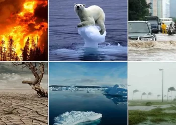 Κλιματική κρίση όπως πόλεμος – Ολέθριες οι οικονομικές επιπτώσεις της καταστροφής του περιβάλλοντος