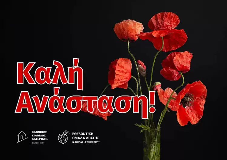 Οι εγκαταλειμμένες οικογένειες στην Θεσσαλία