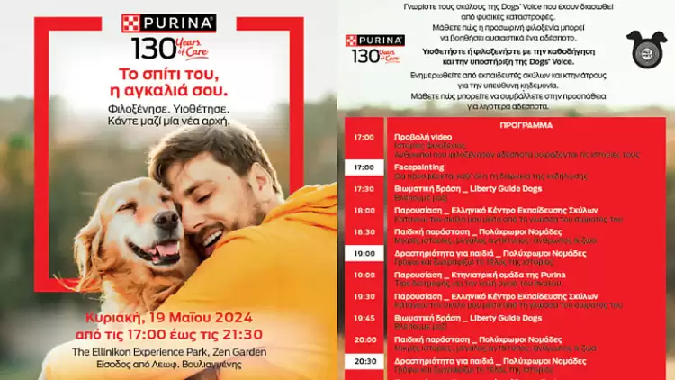 Πρωτοβουλία για λιγότερα αδέσποτα ζώα στην Ελλάδα