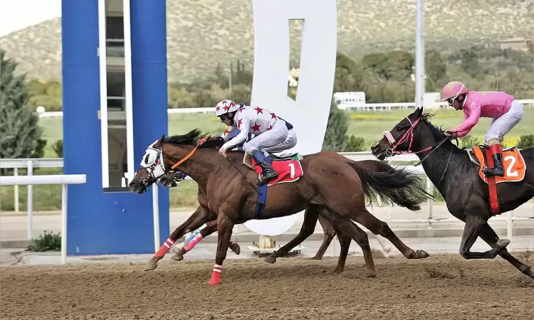 Ο στέγιερ Ολυμπιακός Ο στέγιερ Ολυμπιακός