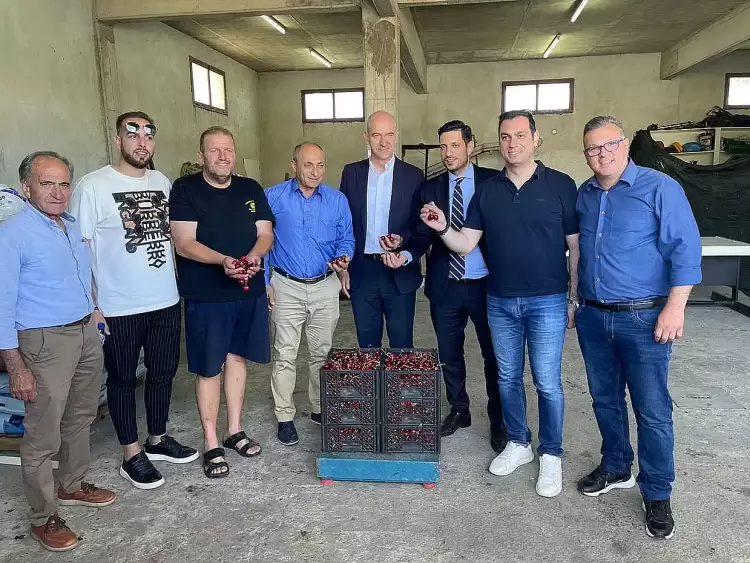 Τα κεράσια του Κολινδρού Τα κεράσια του Κολινδρού