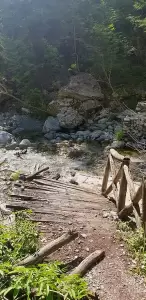 Ο Βουλευτής Πιερίας Φώντας Μπαραλιάκος στην Διεύθυνση Δασών Πιερίας