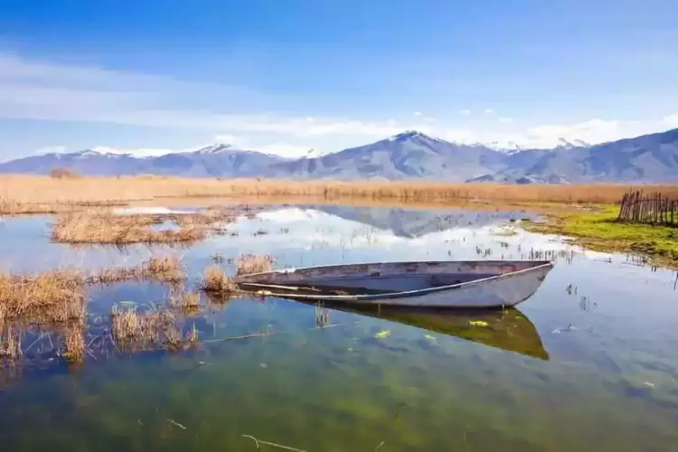 22ο διεθνές φεστιβάλ παιδικής και νεανικής δημιουργικότητας «Ο κόσμος στις παλάμες σου»