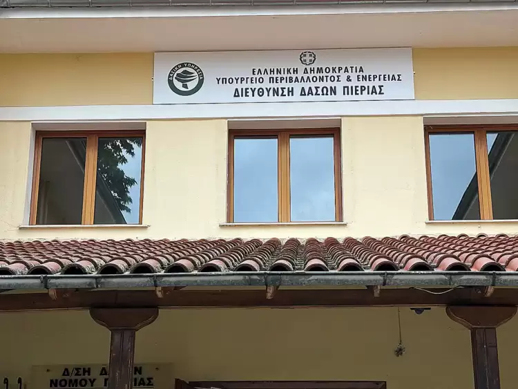 Διεύθυνση Δασών Πιερίας: Παγκόσμια Ημέρα Περιβάλλοντος, 5 Ιουνίου 2024 Διεύθυνση Δασών Πιερίας: Παγκόσμια Ημέρα Περιβάλλοντος, 5 Ιουνίου 2024