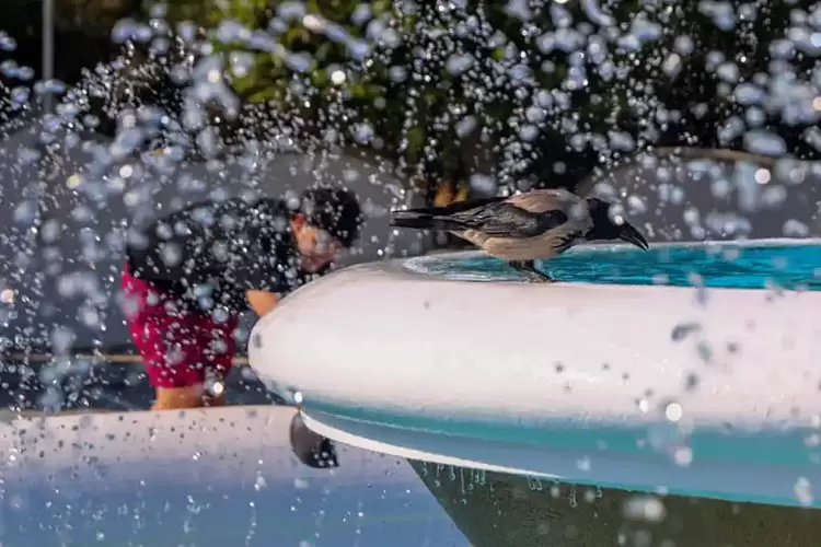 Καιρός: Έρχεται καύσωνας με 44άρια - Με τι καιρό θα ψηφίσουμε στις Ευρωεκλογές Καιρός: Έρχεται «κόλαση» με 44άρια – Με τι καιρό θα ψηφίσουμε στις Ευρωεκλογές