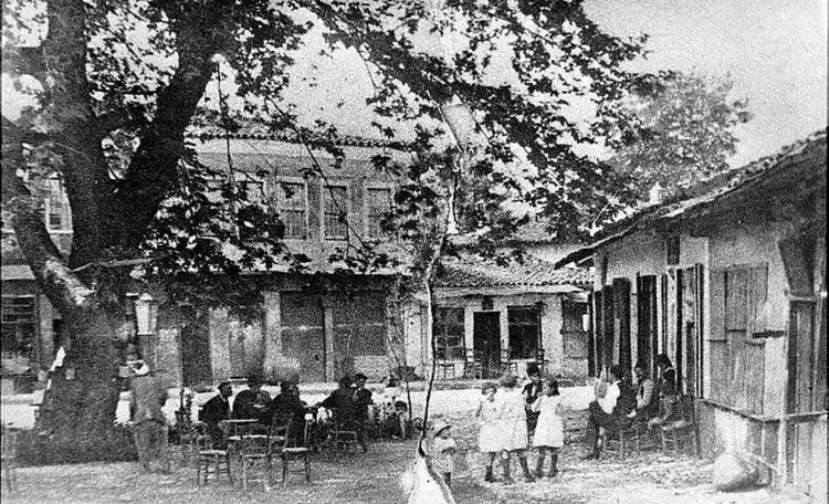 Κατερίνη: Ο πλάτανος του συντριβανίου