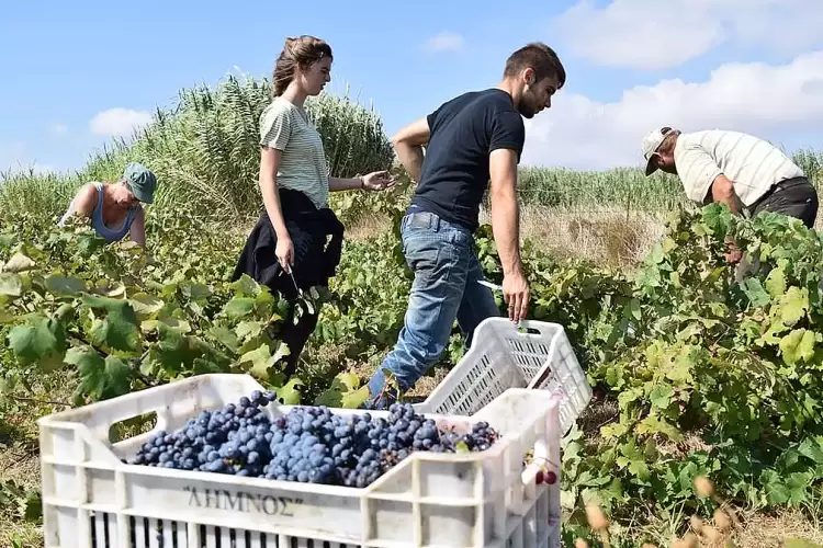 Η Λήμνος μέσα από εικόνες Η Λήμνος μέσα από εικόνες