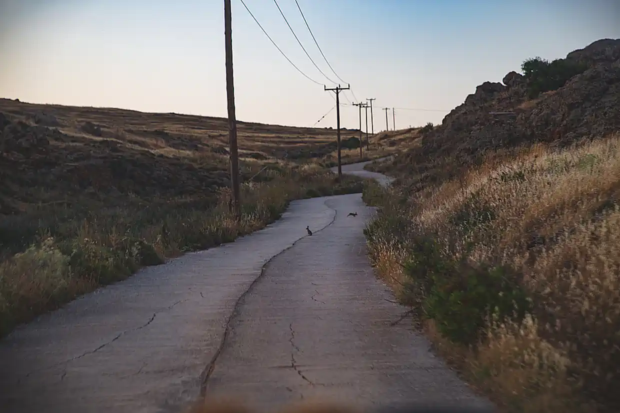 Η Λήμνος μέσα από εικόνες – Προσοχή στους λαγούς και τα κουνέλια