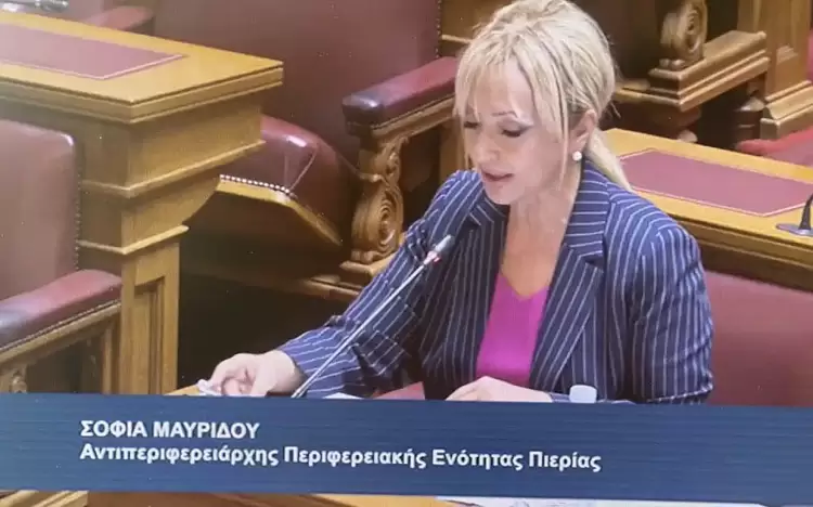 Η Αντιπεριφερειάρχης Πιερίας στην Υποεπιτροπή Ορεινών Περιοχών της Ειδικής Μόνιμης Επιτροπής Περιφερειών