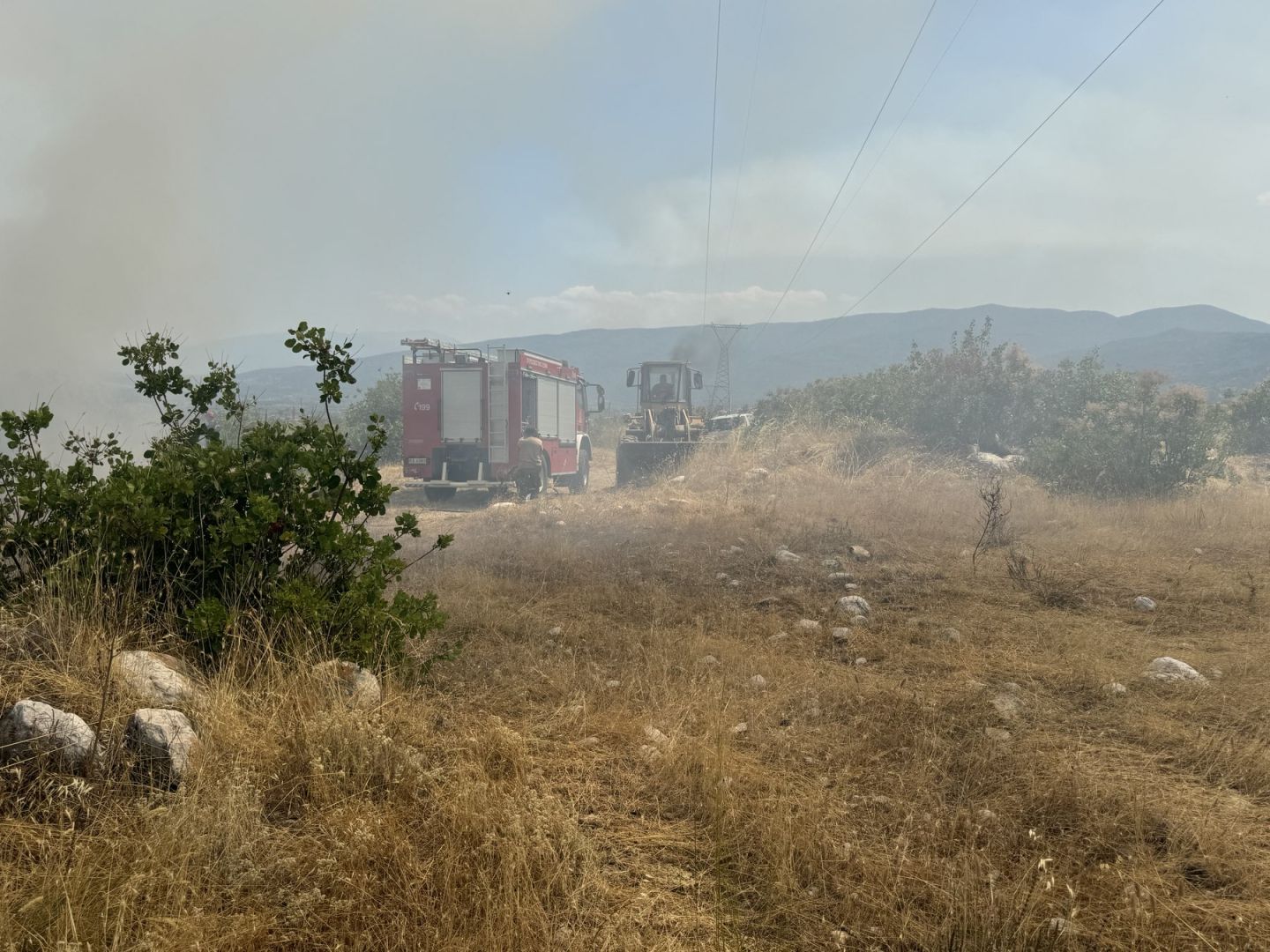 Δήμος Δίου-Ολύμπου: Αντιμετωπίστηκε το μέτωπο φωτιάς μεταξύ Λεπτοκαρυάς και Λιτοχώρου (εικόνες) Δήμος Δίου Ολύμπου: