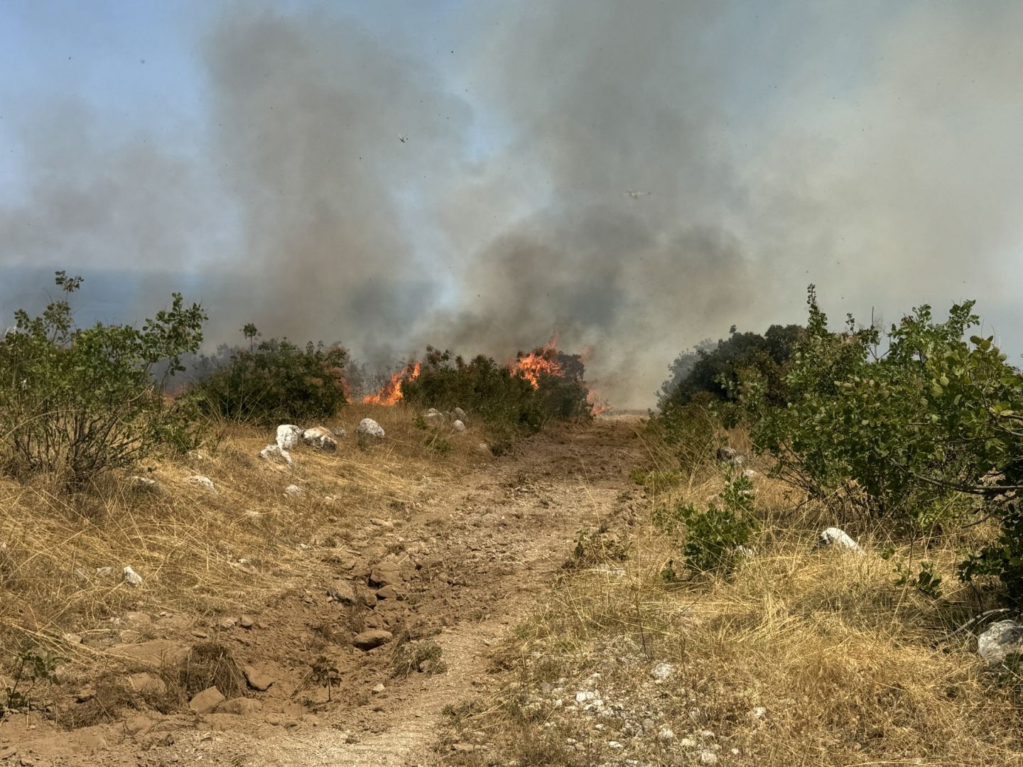 Δήμος Δίου-Ολύμπου: Αντιμετωπίστηκε το μέτωπο φωτιάς μεταξύ Λεπτοκαρυάς και Λιτοχώρου (εικόνες) Δήμος Δίου Ολύμπου: