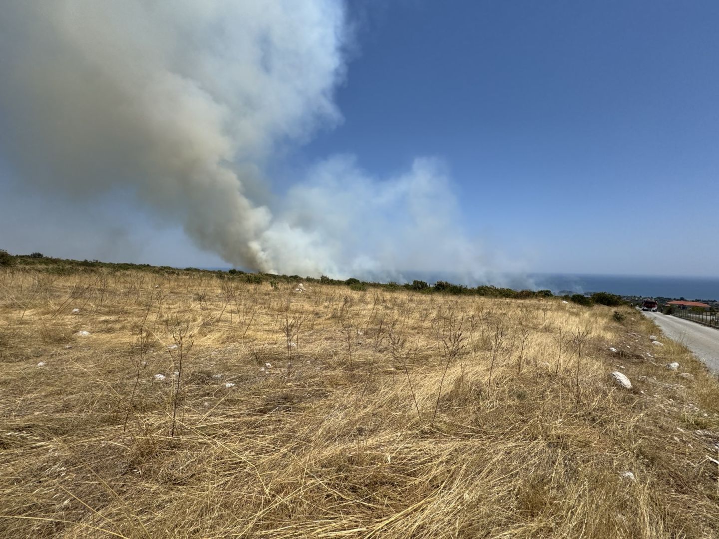 Δήμος Δίου-Ολύμπου: Αντιμετωπίστηκε το μέτωπο φωτιάς μεταξύ Λεπτοκαρυάς και Λιτοχώρου (εικόνες) Δήμος Δίου Ολύμπου: