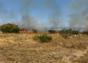 Δήμος Δίου Ολύμπου: