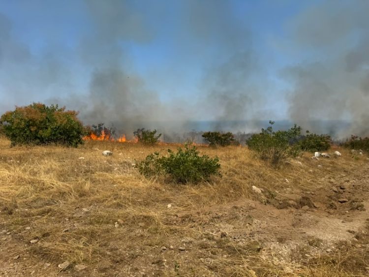 Δήμος Δίου-Ολύμπου: Αντιμετωπίστηκε το μέτωπο φωτιάς μεταξύ Λεπτοκαρυάς και Λιτοχώρου (εικόνες) Δήμος Δίου Ολύμπου: