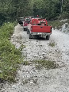Δήμος Δίου Ολύμπου: Υπό έλεγχο τέθηκε η εστία φωτιάς που ξέσπασε στην περιοχή του Καταφυγίου Κορομηλιάς