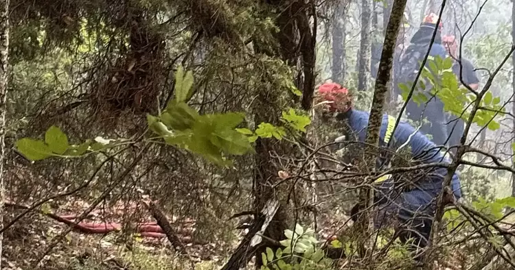 Δήμος Δίου Ολύμπου: Υπό έλεγχο τέθηκε η εστία φωτιάς που ξέσπασε στην περιοχή του Καταφυγίου Κορομηλιάς