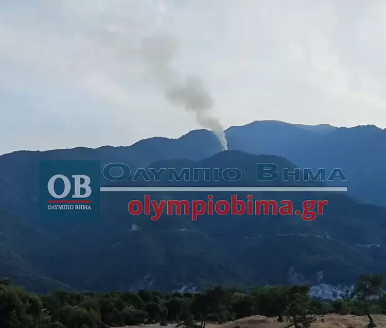 ΕΚΤΑΚΤΟ: Φωτιά εκδηλώθηκε πριν απο λίγη ώρα στο Όλυμπο στην θέση Κορομηλιά.
