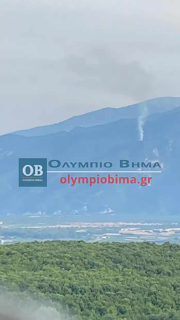 Πιερία: Φωτιά εκδηλώθηκε τις απογευματινές ώρες σήμερα, Κυριακή (14/7), στο Όλυμπο στην θέση Κορομηλιά (βίντεο - εικόνες) ΕΚΤΑΚΤΟ: Φωτιά εκδηλώθηκε πριν απο λίγη ώρα στο Όλυμπο στην θέση Κορομηλιά.
