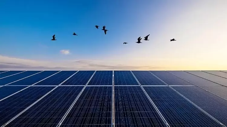 Η Ελλάδα στη 2η θέση του δείκτη Ανανεώσιμων Πηγών Ενέργειας