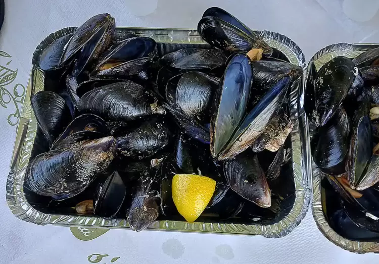 Επέστρεψε η «Μυδοχαρά» στον Μακρύγιαλο Πιερίας