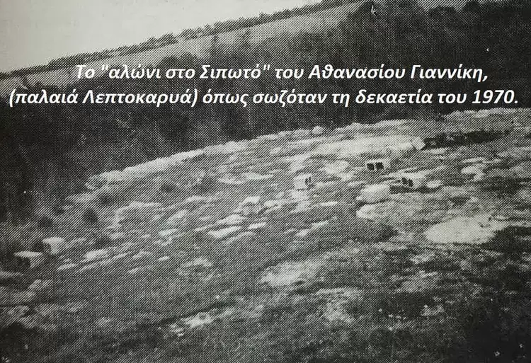 Ιούλιος ο “αλωνιάρης” στην παλαιά Λεπτοκαρυά
