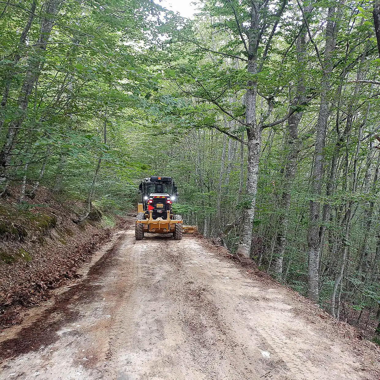 Κατερίνη: Βελτίωση υποδομών στις Κοινότητες του Δήμου – Οι παρεμβάσεις που υλοποιήθηκαν τον Ιούνιο