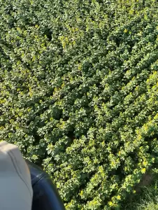 Μια μαγευτική βόλτα πάνω από την Πιερία με αερόστατο