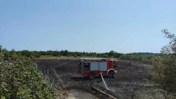 Πιερία: Nέα φωτιά σε χορτολιβαδική έκταση στην Λεπτοκαρυά (εικόνες)