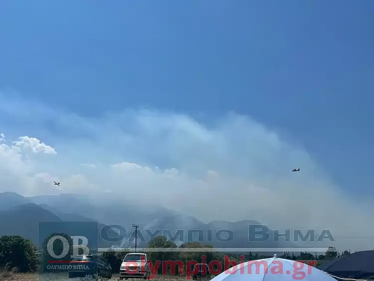 Πιερία: Φωτιά στην Πλάκα Λιτοχώρου (συνεχής ενημέρωση) (εικόνες & βίντεο)