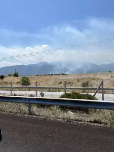 Πιερία: Μεγάλη φωτιά στην Πλάκα Λιτοχώρου (εικόνες & βίντεο)