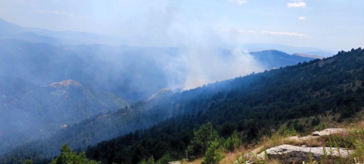 Πιέρια Όρη: Φωτιά ξέσπασε το μεσημέρι της Παρασκευής 26/7 πίσω από το Φλάμπουρο