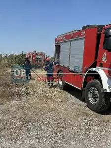 Πιερία: Υπό πλήρη έλεγχο η φωτιά στην Πλάκα Λιτοχώρου