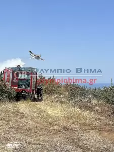 Πιερία: Υπό πλήρη έλεγχο η φωτιά στην Πλάκα Λιτοχώρου