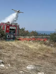 Πιερία: Υπό πλήρη έλεγχο η φωτιά στην Πλάκα Λιτοχώρου