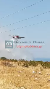 Πιερία: Υπό πλήρη έλεγχο η φωτιά στην Πλάκα Λιτοχώρου