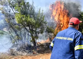 Πυροσβεστική: Πρόστιμα για φωτιά σε Πιερία Πυροσβεστική: Πρόστιμα για φωτιά σε Πιερία