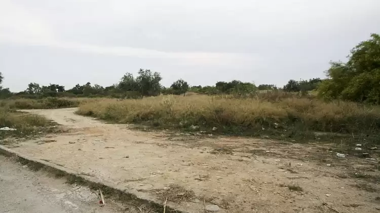 Σχεδόν 575.000 δηλώσεις καθαρισμού οικοπέδων έχουν κατατεθεί Σχεδόν 575.000 δηλώσεις καθαρισμού οικοπέδων έχουν κατατεθεί