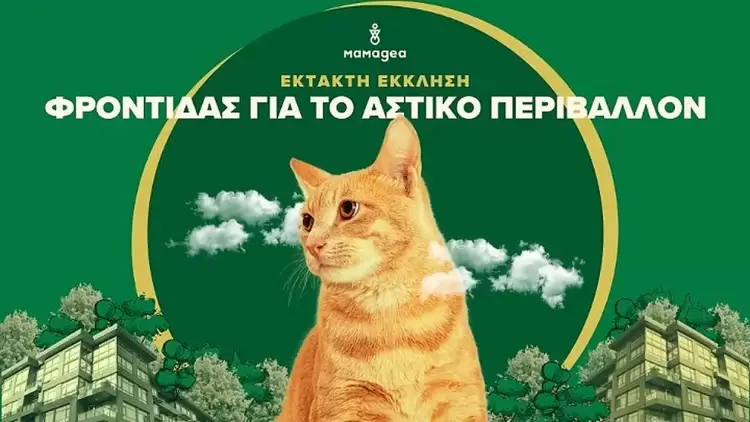 Βοηθήστε τα ζώα και τα φυτά της γειτονιάς σας την περίοδο του καύσωνα