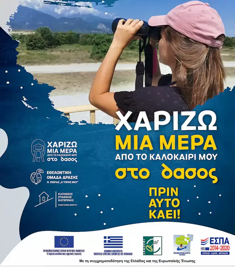 Χαρίζω μια μέρα από το καλοκαίρι μου στο δάσος 2024