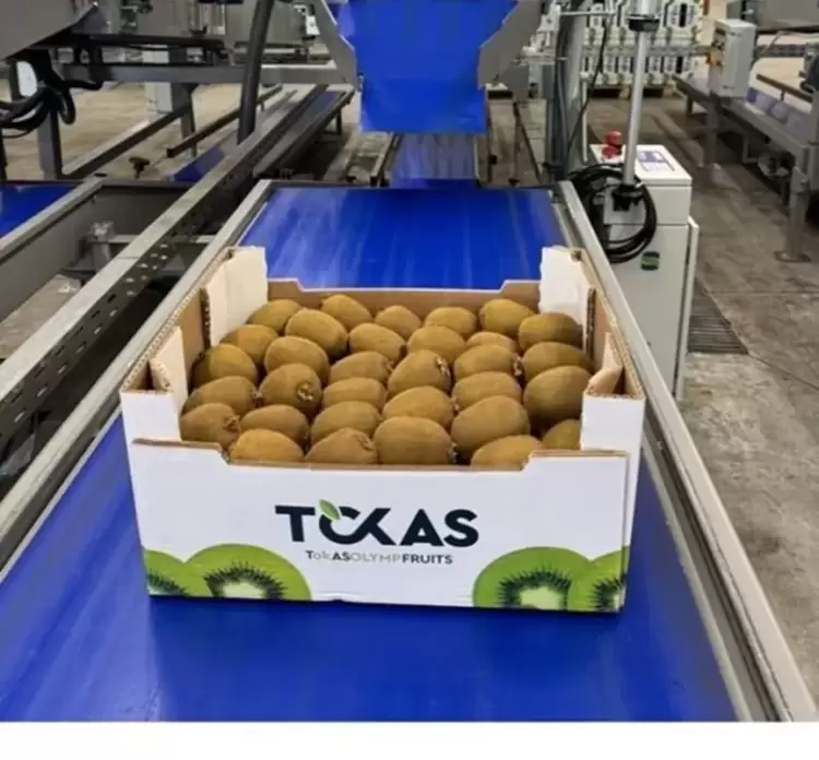 H εταιρεία Τόκας έφτασε στην Ινδία