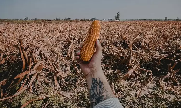 Από τους «πολέμους για το πετρέλαιο» στους «πολέμους για τα τρόφιμα»