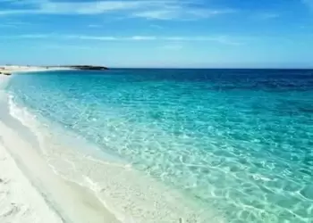 Αυτόματο προσχέδιο