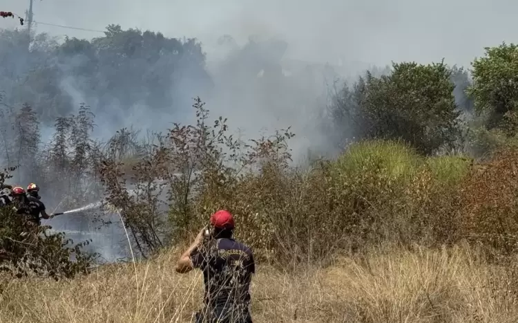 Δήμος Δίου Ολύμπου: Σβήστηκε η φωτιά στην παρολύμπια περιοχή της Πλάκας Λιτοχώρου με ισχυρή δύναμη της Πυροσβεστικής, εναέρια μέσα του Υπουργείου Κλιματικής Κρίσης & Πολιτικής Προστασίας, υδροφόρες και μηχανήματα έργου του Δήμου, της ΠΕ Πιερίας και του Δήμου Κατερίνης
