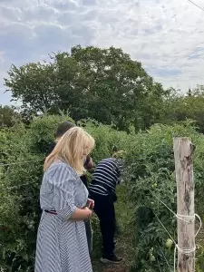 Έγκαιρη καταβολή των αποζημιώσεων για τις ζημιές από τη χαλαζόπτωση στην Πιερία ζήτησε η Άννα Μάνη